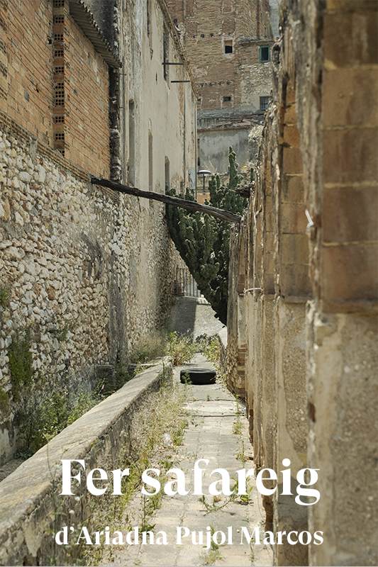 VIII Beca de fotografia. Projecte final d’Ariadna Pujol Marcos