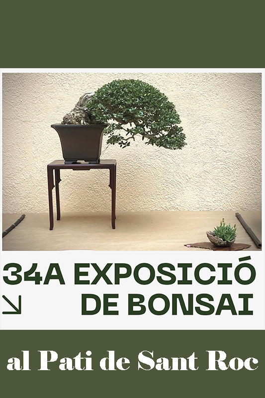34a Exposició de Bonsais